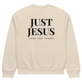 Stand Firm Just Jesus Oversized Heavyweight Sweatshirt dust back view | Christian apparel