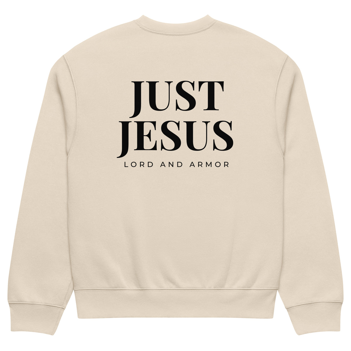 Stand Firm Just Jesus Oversized Heavyweight Sweatshirt dust back view | Christian apparel